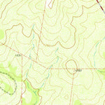 United States Geological Survey Mud Springs, TX (1978, 24000-Scale) digital map
