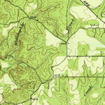 United States Geological Survey Mullin, TX (1931, 62500-Scale) digital map