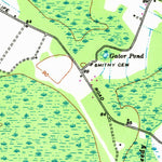 United States Geological Survey Mullins, SC (1946, 24000-Scale) digital map