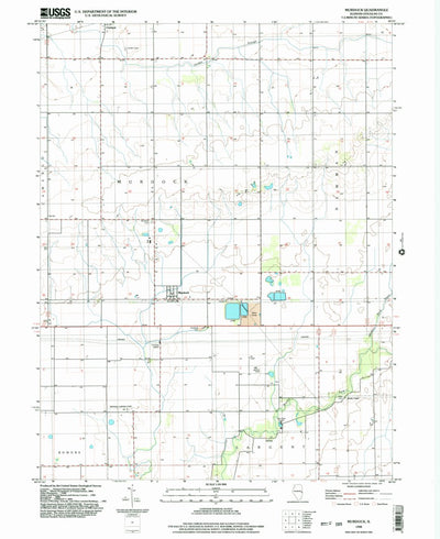 United States Geological Survey Murdock, IL (1998, 24000-Scale) digital map