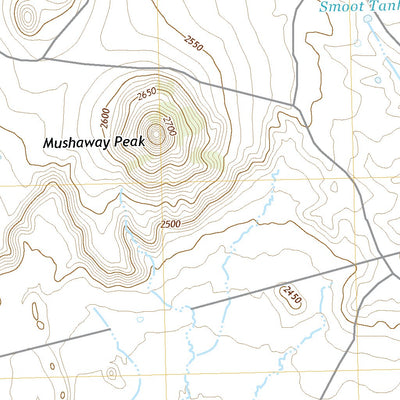 United States Geological Survey Mushaway Peak, TX (2022, 24000-Scale) digital map