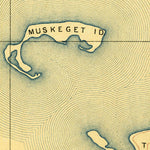 United States Geological Survey Muskeget, MA (1889, 62500-Scale) digital map