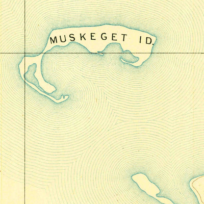 United States Geological Survey Muskeget, MA (1893, 62500-Scale) digital map