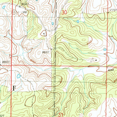 United States Geological Survey Myrtle, MO (1984, 24000-Scale) digital map