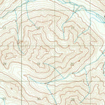 United States Geological Survey Nabesna A-1, AK (1959, 63360-Scale) digital map