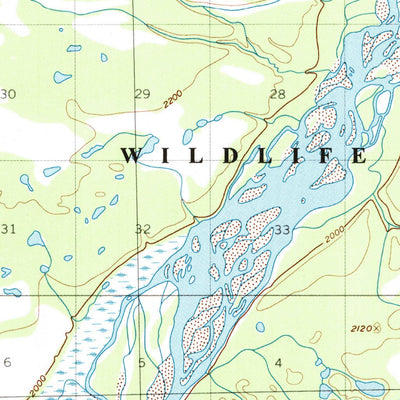 United States Geological Survey Nabesna C-3, AK (1954, 63360-Scale) digital map