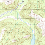 United States Geological Survey Nabesna C-3, AK (1954, 63360-Scale) digital map