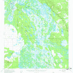 United States Geological Survey Nabesna D-2, AK (1955, 63360-Scale) digital map