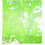 United States Geological Survey Nabesna D-3, AK (1955, 63360-Scale) digital map