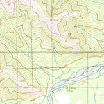United States Geological Survey Nabesna D-4, AK (1954, 63360-Scale) digital map