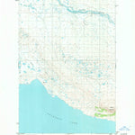 United States Geological Survey Naknek A-2, AK (1951, 63360-Scale) digital map
