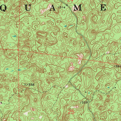 United States Geological Survey Namekagon Lake, WI (1971, 24000-Scale) digital map