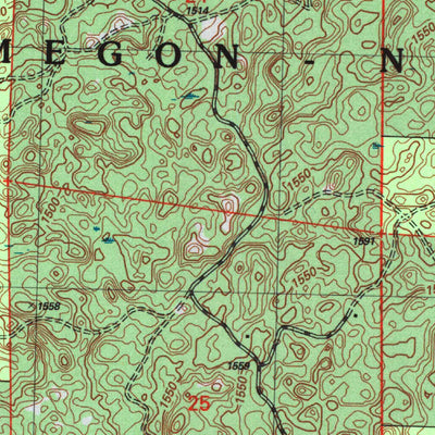 United States Geological Survey Namekagon Lake, WI (2005, 24000-Scale) digital map