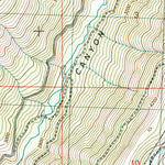United States Geological Survey Naneum Canyon, WA (2003, 24000-Scale) digital map