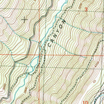 United States Geological Survey Naneum Canyon, WA (2003, 24000-Scale) digital map