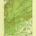 United States Geological Survey Napanoch, NY (1943, 31680-Scale) digital map