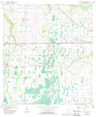 United States Geological Survey Narcoossee NE, FL (1953, 24000-Scale) digital map