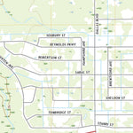United States Geological Survey Narcoossee NE, FL (2021, 24000-Scale) digital map