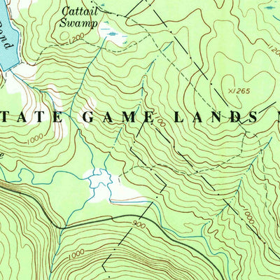 United States Geological Survey Narrowsburg, NY-PA (1994, 24000-Scale) digital map