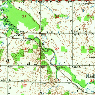 United States Geological Survey Nashville, MI (1950, 62500-Scale) digital map