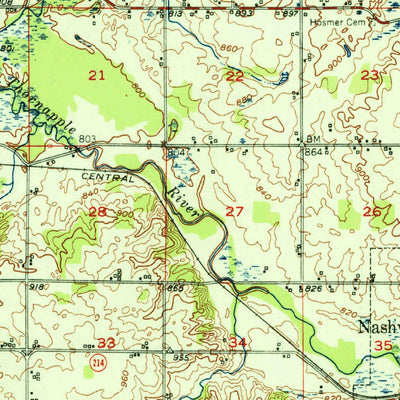 United States Geological Survey Nashville, MI (1951, 62500-Scale) digital map