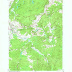 United States Geological Survey Natural Bridge, NY (1951, 24000-Scale) digital map