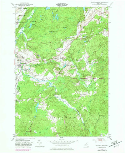 United States Geological Survey Natural Bridge, NY (1951, 24000-Scale) digital map