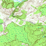 United States Geological Survey Natural Bridge, NY (1951, 24000-Scale) digital map