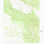 United States Geological Survey Naturita NW, CO (1948, 24000-Scale) digital map