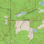 United States Geological Survey Natzke Camp, WI (1978, 24000-Scale) digital map