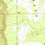 United States Geological Survey Navajo Peak, NM (1953, 24000-Scale) digital map