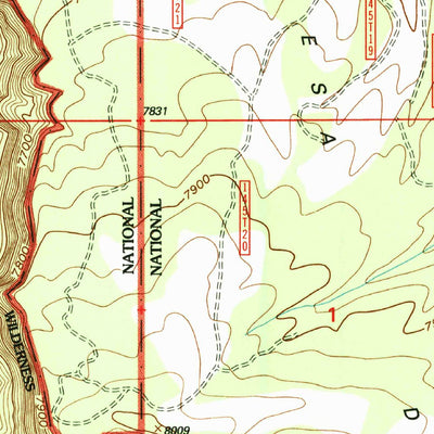 United States Geological Survey Navajo Peak, NM (1995, 24000-Scale) digital map