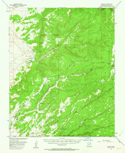 United States Geological Survey Nazlini, AZ (1955, 62500-Scale) digital map
