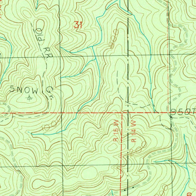 United States Geological Survey Neah Bay, WA (1984, 24000-Scale) digital map
