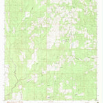 United States Geological Survey Necaise, MS (1982, 24000-Scale) digital map