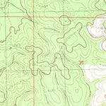 United States Geological Survey Necaise, MS (1982, 24000-Scale) digital map