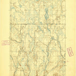 United States Geological Survey Ned Lake, MI (1895, 62500-Scale) digital map