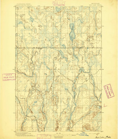 United States Geological Survey Ned Lake, MI (1895, 62500-Scale) digital map