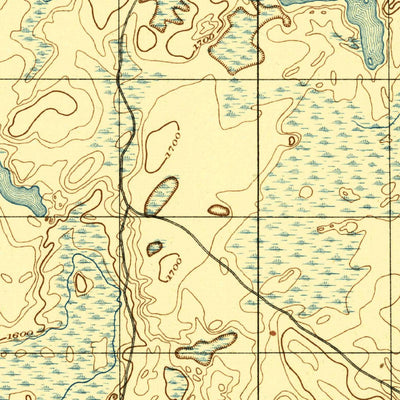 United States Geological Survey Ned Lake, MI (1895, 62500-Scale) digital map