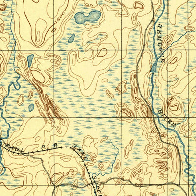 United States Geological Survey Ned Lake, MI (1895, 62500-Scale) digital map