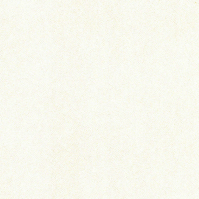 United States Geological Survey Needle Point, UT (1972, 24000-Scale) digital map