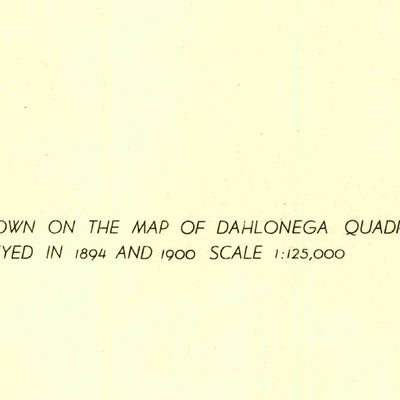 United States Geological Survey Neels Gap, GA (1938, 24000-Scale) digital map