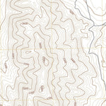 United States Geological Survey Neels, UT (2023, 24000-Scale) digital map