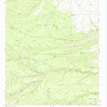 United States Geological Survey Negrito Mountain, NM (1963, 24000-Scale) digital map