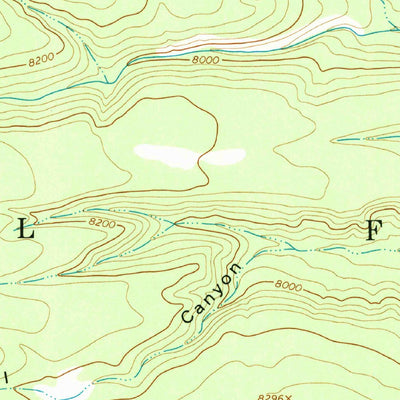 United States Geological Survey Negrito Mountain, NM (1963, 24000-Scale) digital map
