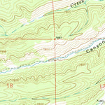 United States Geological Survey Negrito Mountain, NM (1963, 24000-Scale) digital map