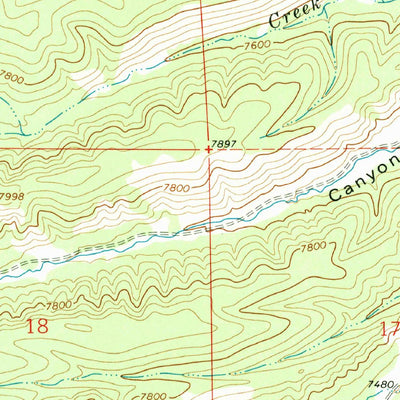 United States Geological Survey Negrito Mountain, NM (1963, 24000-Scale) digital map