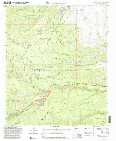 United States Geological Survey Negrito Mountain, NM (1999, 24000-Scale) digital map