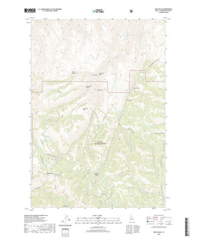 United States Geological Survey Neil Gulch, ID (2020, 24000-Scale) digital map