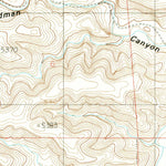 United States Geological Survey Nelson Canyon East, NM (1988, 24000-Scale) digital map
